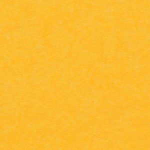 Papel Arjo Wiggins Keaykolour Original – Indian Yellow